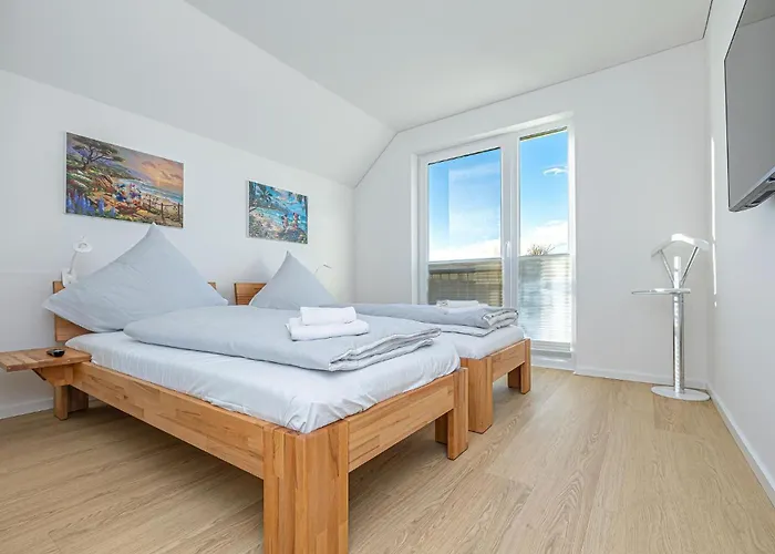 Der Luette Seehund Olpenitz